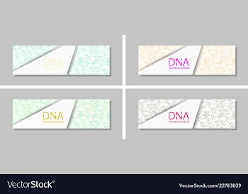 Genetics testing science dna double spiral vector image