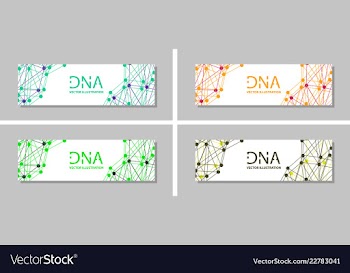 Genetics testing science dna double spiral vector image