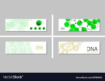 Genetics testing science dna double spiral vector image