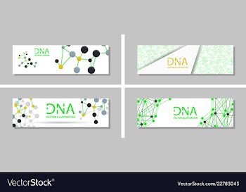 Genetics testing science dna double spiral vector image