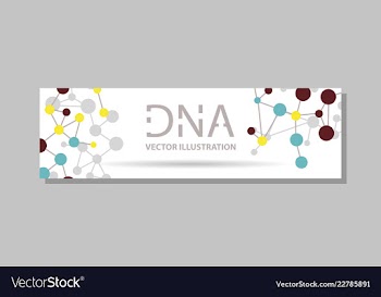 Genetics testing science dna double spiral vector image