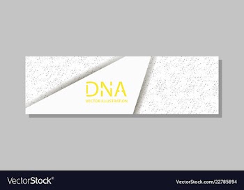 Genetics testing science dna double spiral vector image