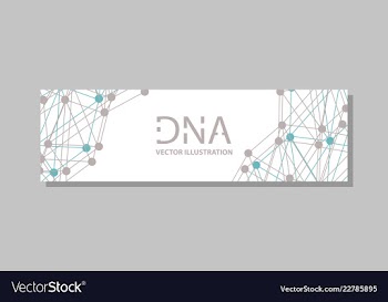 Genetics testing science dna double spiral vector image