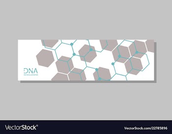 Genetics testing science dna double spiral vector image