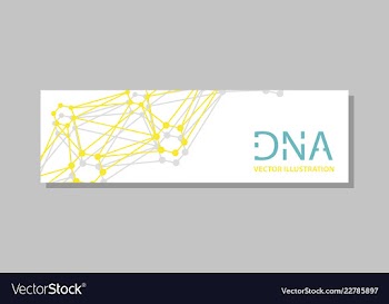 Genetics testing science dna double spiral vector image