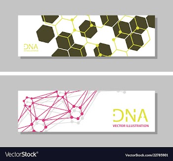 Genetics testing science dna double spiral vector image