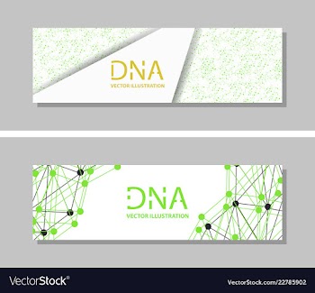 Genetics testing science dna double spiral vector image