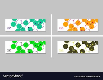 Genetics testing science dna double spiral vector image
