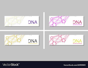 Genetics testing science dna double spiral vector image