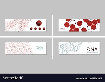 Genetics testing science dna double spiral vector image