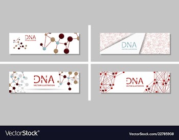 Genetics testing science dna double spiral vector image
