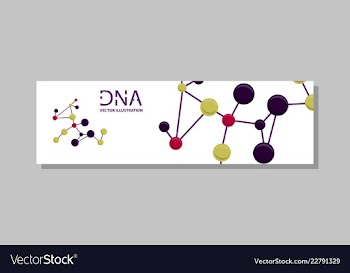 Genetics testing science dna double spiral vector image