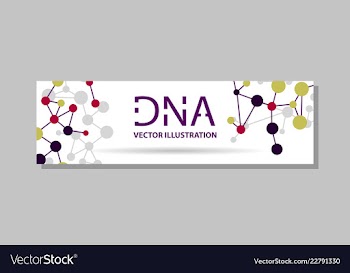 Genetics testing science dna double spiral vector image