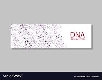 Genetics testing science dna double spiral vector image