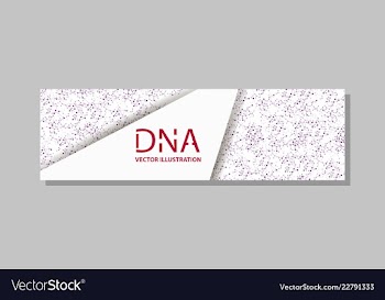 Genetics testing science dna double spiral vector image