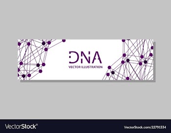 Genetics testing science dna double spiral vector image