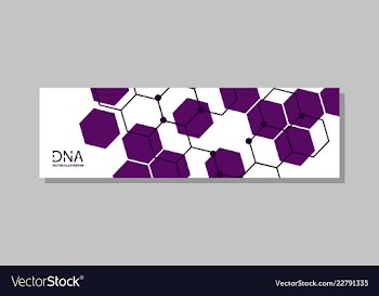 Genetics testing science dna double spiral vector image