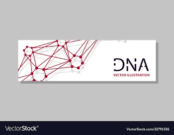 Genetics testing science dna double spiral vector image