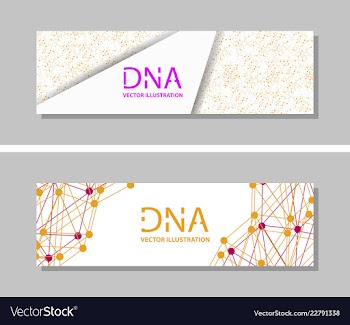 Genetics testing science dna double spiral vector image