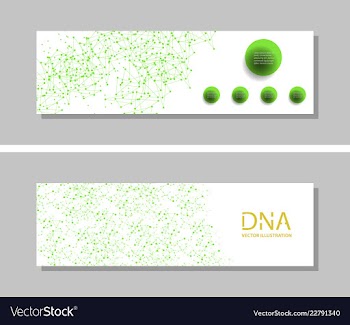Genetics testing science dna double spiral vector image