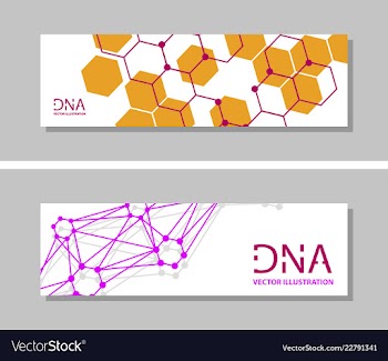 Genetics testing science dna double spiral vector image