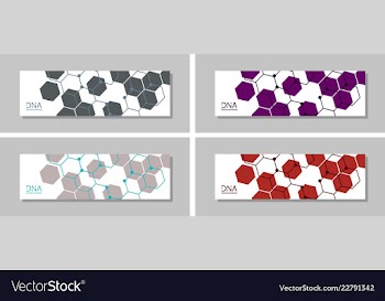 Genetics testing science dna double spiral vector image