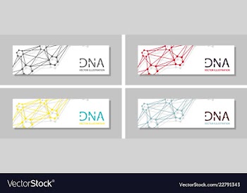 Genetics testing science dna double spiral vector image