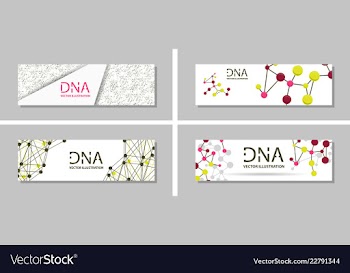 Genetics testing science dna double spiral vector image
