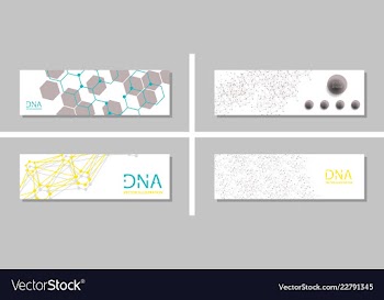 Genetics testing science dna double spiral vector image