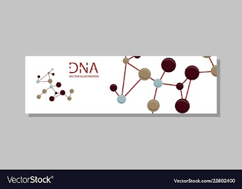 Genetics testing science dna double spiral vector image