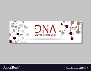 Genetics testing science dna double spiral vector image