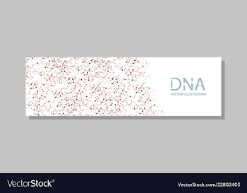 Genetics testing science dna double spiral vector image