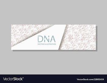 Genetics testing science dna double spiral vector image