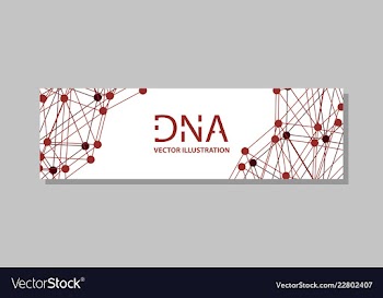 Genetics testing science dna double spiral vector image