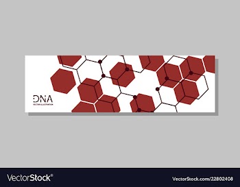 Genetics testing science dna double spiral vector image