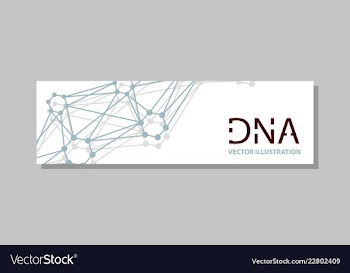 Genetics testing science dna double spiral vector image