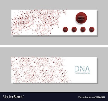 Genetics testing science dna double spiral vector image