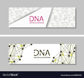 Genetics testing science dna double spiral vector image
