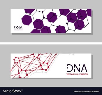 Genetics testing science dna double spiral vector image