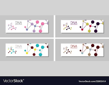 Genetics testing science dna double spiral vector image