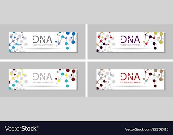 Genetics testing science dna double spiral vector image