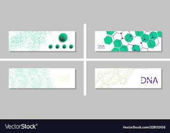 Genetics testing science dna double spiral vector image