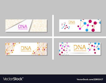 Genetics testing science dna double spiral vector image