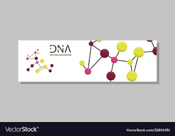 Genetics testing science dna double spiral vector image