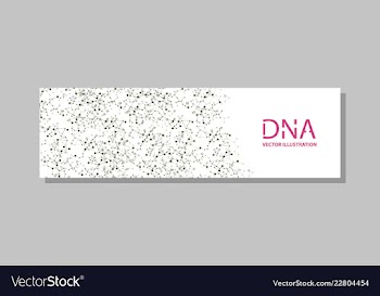 Genetics testing science dna double spiral vector image