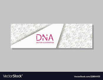 Genetics testing science dna double spiral vector image