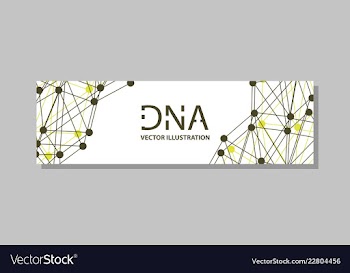 Genetics testing science dna double spiral vector image