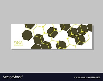 Genetics testing science dna double spiral vector image