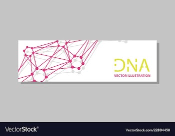 Genetics testing science dna double spiral vector image