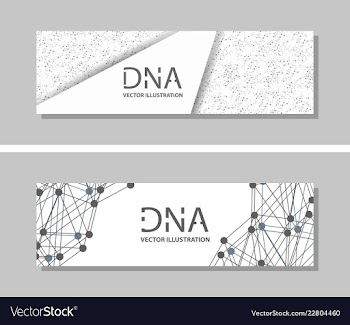 Genetics testing science dna double spiral vector image